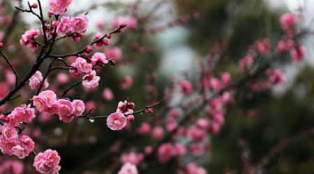 Baku weather forecast for May 16