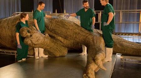 Scientists to carry out 'autopsy' on life-sized T-Rex replica to solve mysteries of huge predator