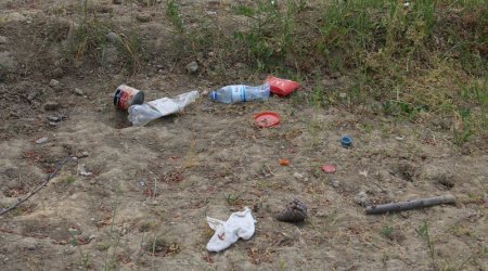 Вот что осталось от  бакинского «питомника»