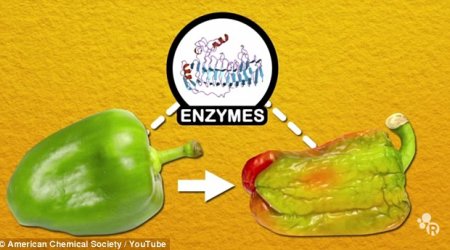 It IS safe to microwave food - and frozen veg IS better than fresh