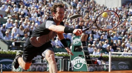 Andy Murray beats David Ferrer to reach French Open semi-finals