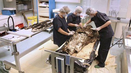 Preserved body of 17th Century noblewoman still wearing her clothes