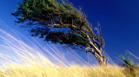 Baku weather forecast for June 6