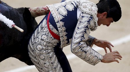 Matador suffers a ripped testicle when he ...
