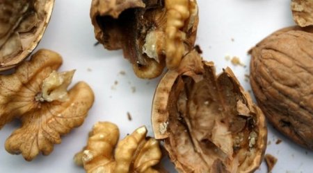 Nuts 'protect against early death'
