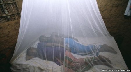 Ebola crisis in Guinea 'has set back malaria fight'
