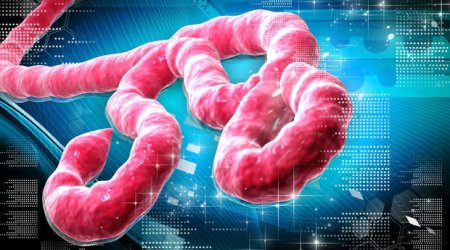 Ebola qurbanlarının sayı 11,2 min nəfərə çatdı