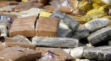 Azərbaycanda 10 min kiloqrama yaxın narkotik maddə məhv edildi