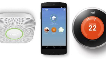 What will Google's $3.2bn guru do next?