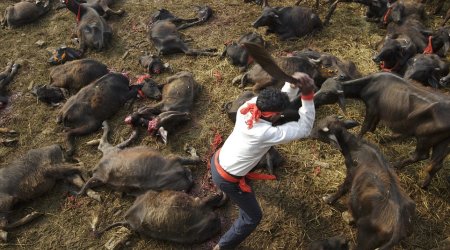 The death of Nepal's killing fields