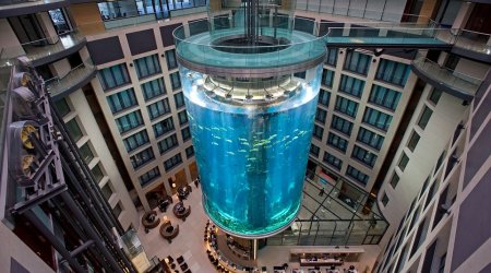 Incredible 82ft-tall hotel aquarium in Berlin