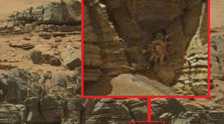 Crab-like 'alien facehugger' in a cave is spotted on Mars