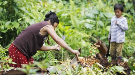 Life with the tattooed Indonesian tribe