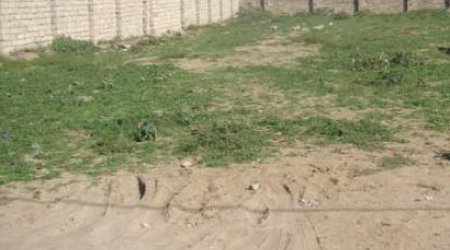 Dövlət Komitəsi reyd keçirib: 65608 manat cərimə qərarı verilib