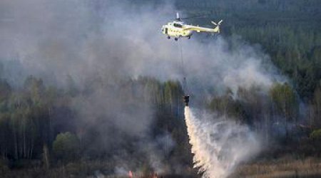 Shahdagh national park on fire