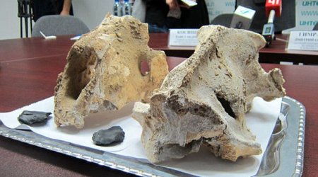 Sacred cave where GIANT LIONS were sacrificed 60,000 years ago discovered in Russia