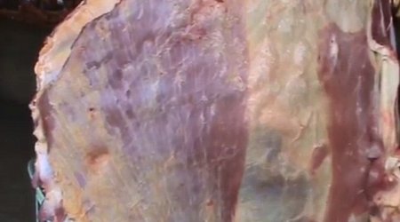 Video shows giant slab of meat PULSATE