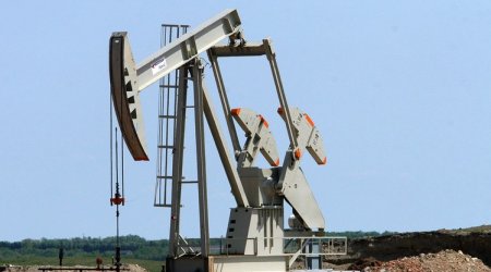 Brent crude rises to $44