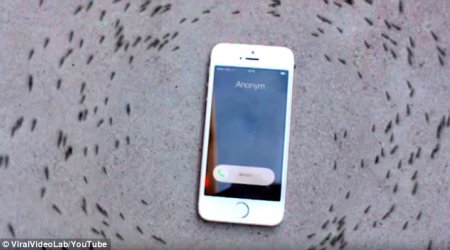 Can you control ANTS with your iPhone?