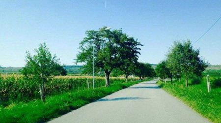 Kəndlər əslində necə olmalıdır? - REPORTAJ