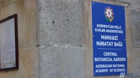 NO COMMENT: Nəbatət bağının yanması xəbəri yalan çıxdı - ANN.TV