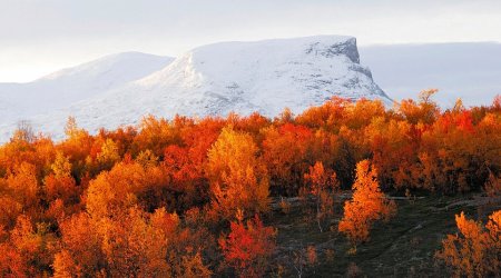 These are the places where autumn leaves look the most magical