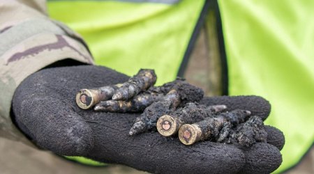 Archaeologists uncover precious items from plane that crashed during World War II