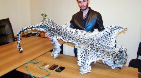 Детали убийства леопарда