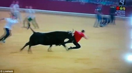 Bull runner is humiliated