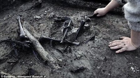 Danish Iron Age remains reveal macabre practices