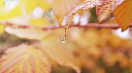 Baku weather forecast for Oct.17