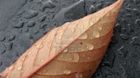 Baku weather forecast for Oct.22