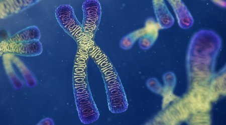 Blood test 'allows couples to screen out abnormalities'