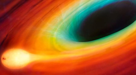 Watch a black hole pull a star to piece