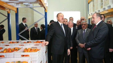 İlham Əliyev Marneulidəki soyuducu anbar kompleksi ilə tanış oldu