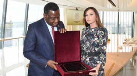 Mehriban Əliyeva BMT-nin Əhali Fondunun icraçı direktoru ilə görüşdü