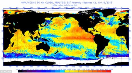 El Nino will be the worst in over 15 years