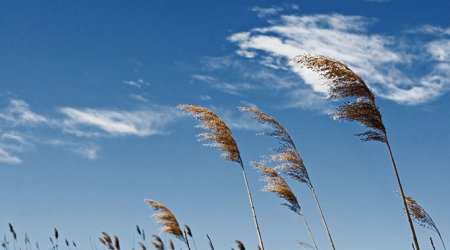 Baku weather forecast for Nov. 18