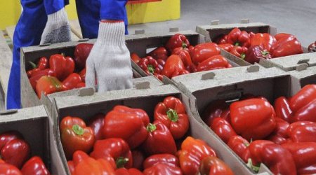 Rusiya Türkiyəni Azərbaycanla əvəz edir