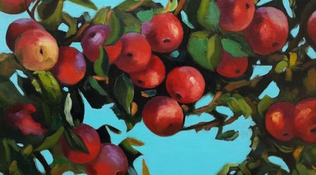 İçərişəhərdə alma fırtınası - REPORTAJ