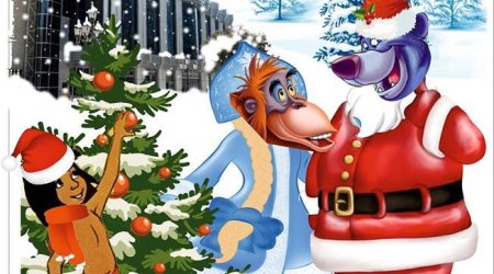 “Mauqlinin yeni ili” gəlir - Fotolar