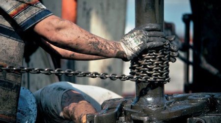 BP Azərbaycandan çıxardığı neftin həcmini açıqladı