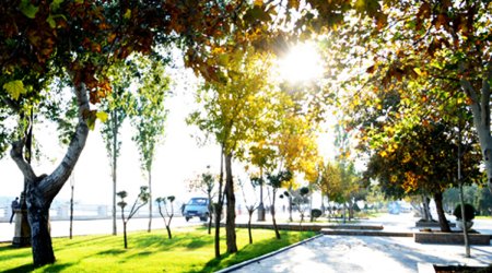 Baku weather forecast for Dec. 2