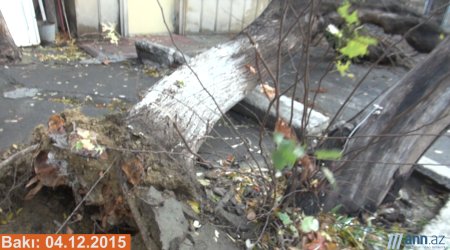 NO COMMENT: Bakı bir gecəyə bu hala düşdü... - ANN.TV