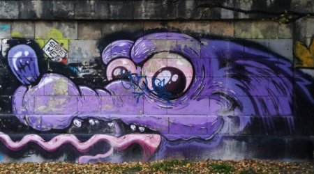 Street-art: Vyana küçələrindəki incəsənət - REPORTAJ