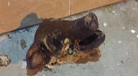 Свиную голову бросили к мечети 