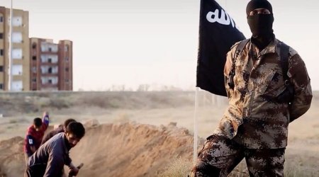 Azerbaijan considers joining campaign against Islamic State