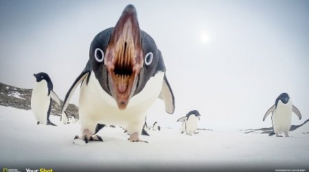 National Geographic release their pictures of 2015