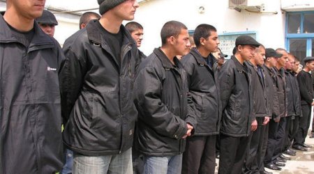 Əfv sərəncamının icrasına başlanıldı