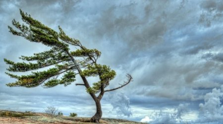 Baku weather forecast for Jan. 7